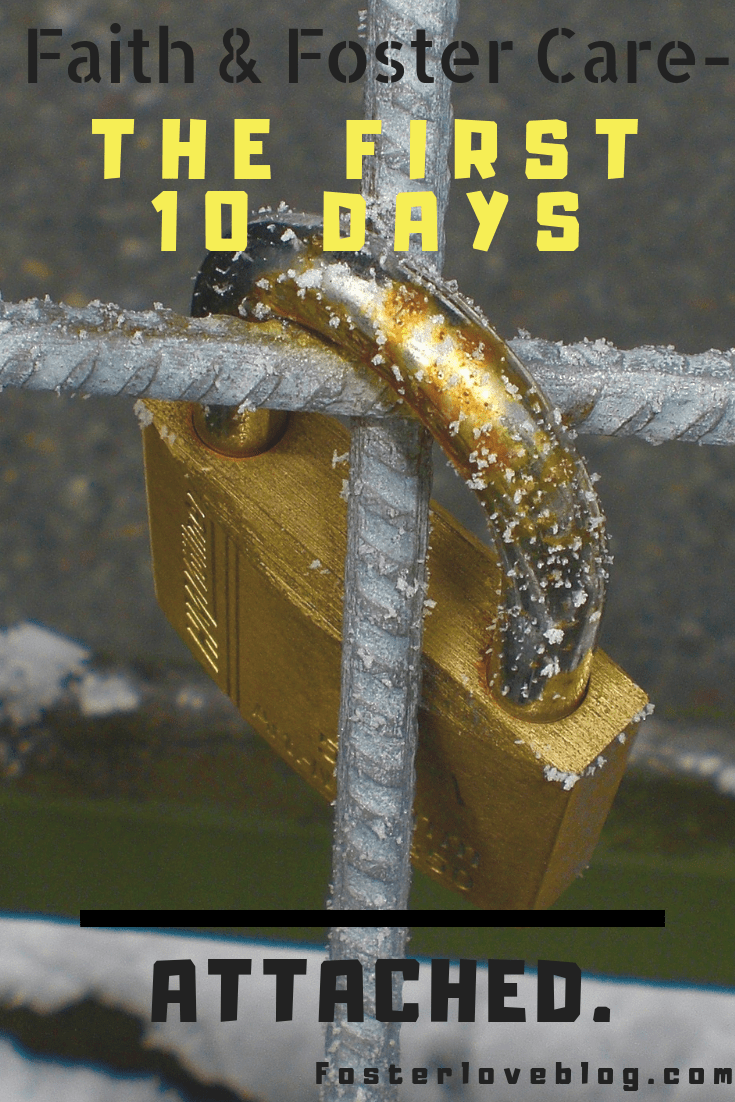 BC9B68DF-A79D-404A-87BB-D68E65C939EA